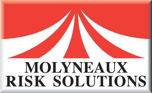 Molyneaux Risk Solutions molyneaux.pfyfn.com